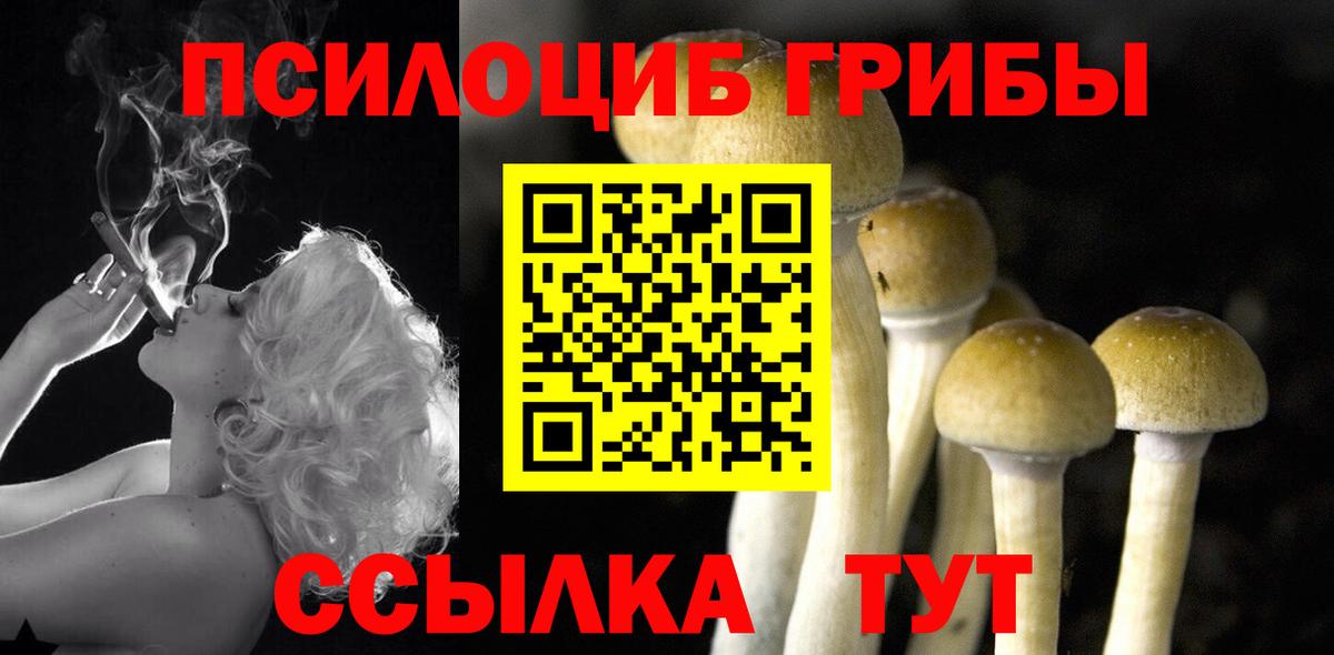 Галлюциногенные грибы Psilocybe  Вход с VPN  Галлюциногенные грибы ЛСД  Тайшет 